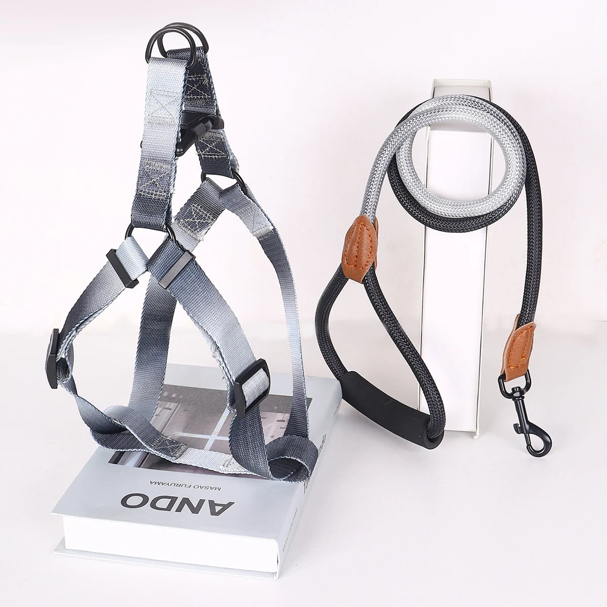 Colorful Pet Harness and Leash Set